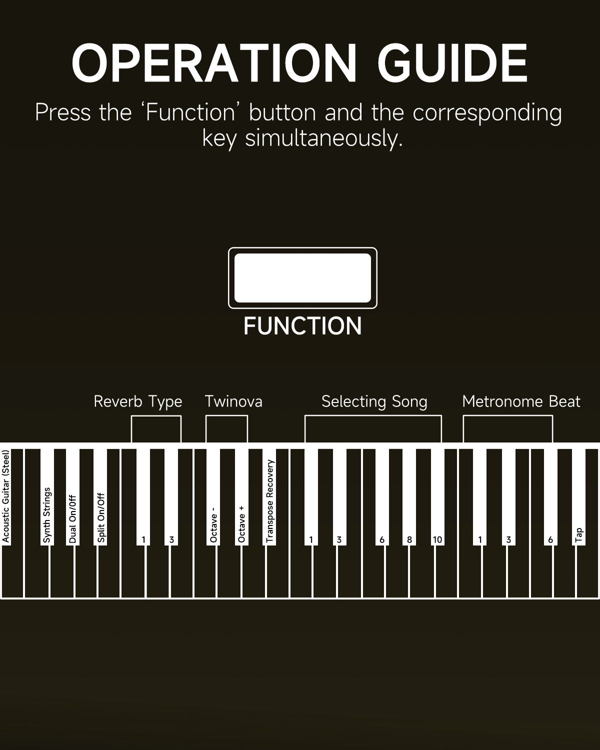 Donner DDP-300 Fully Weighted Home Digital Piano