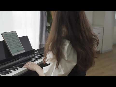 Donner DEP-20 Portable Keyboard 88-Key Weighted with Stand