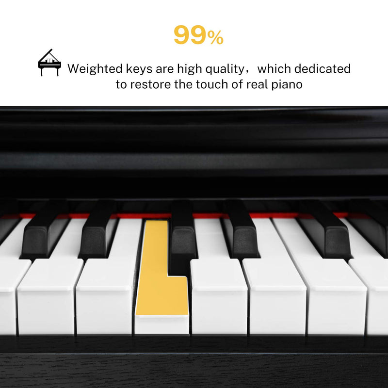 Donner DDP-100 Piano digital de acción ponderada de 88 teclas con banco de  piano, paquete para principiantes con soporte para muebles, adaptador de